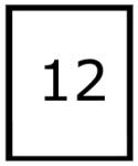bingo-12